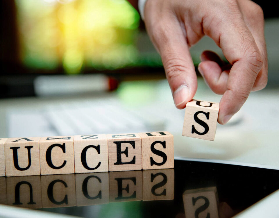 wood toy blocks spelling success