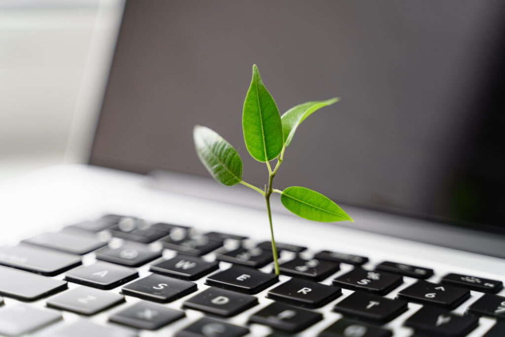 green sapling growing out of laptop keyboard
