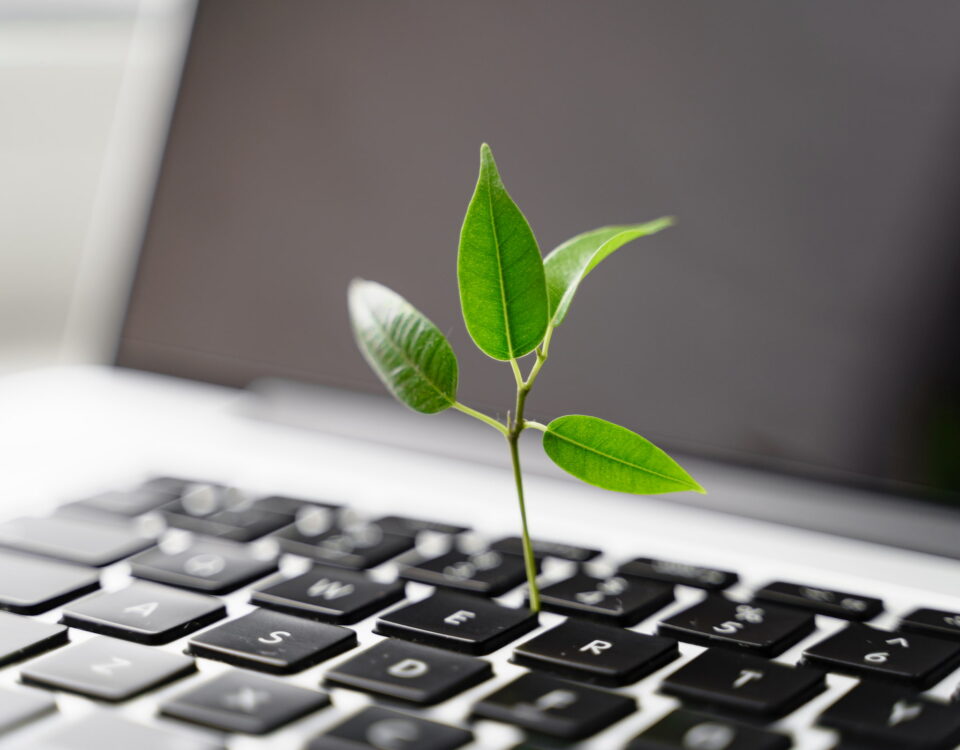 green sapling growing out of laptop keyboard