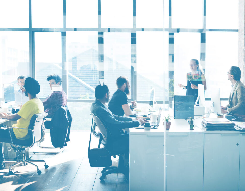 diverse office team employees working on computers