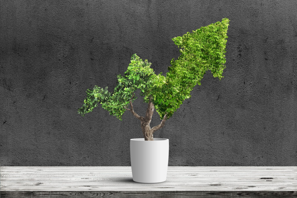 sustainability bonsai tree upward graph line