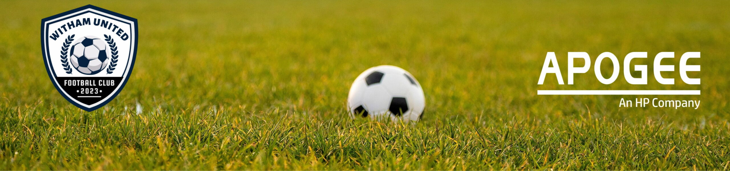 football grass apogee Witham united football club