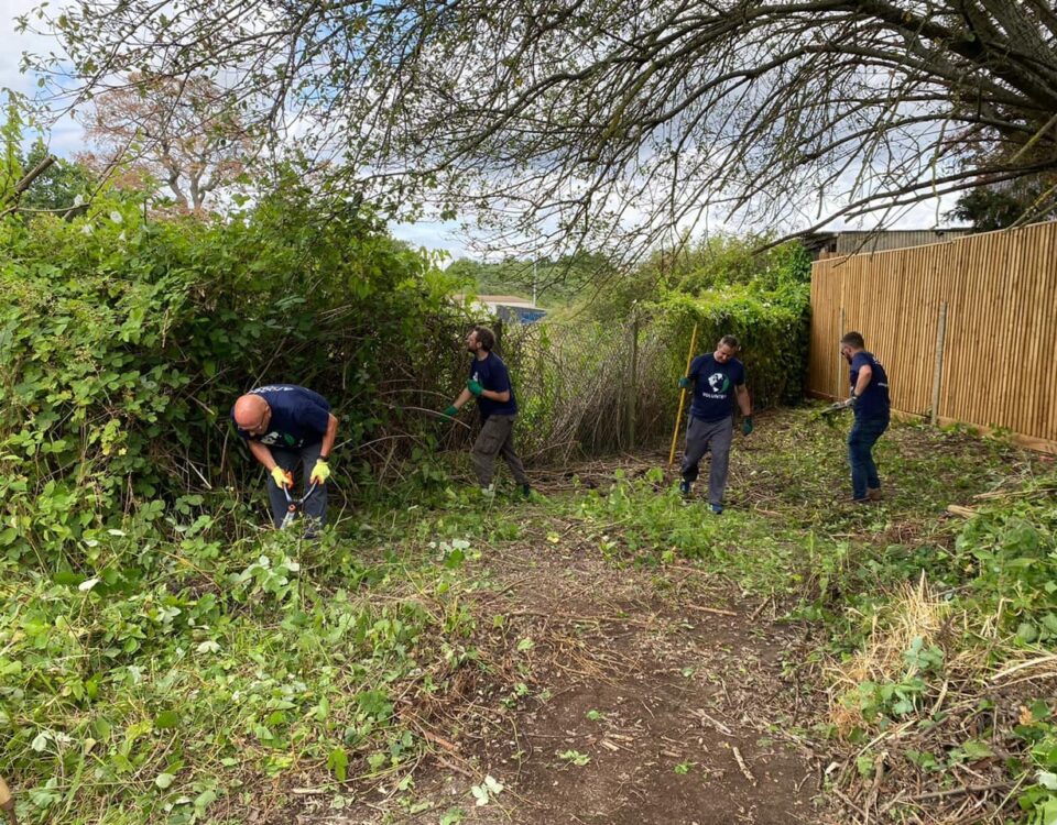 Apogee & Toshiba volunteers clear an area for orchids at Holme Farm