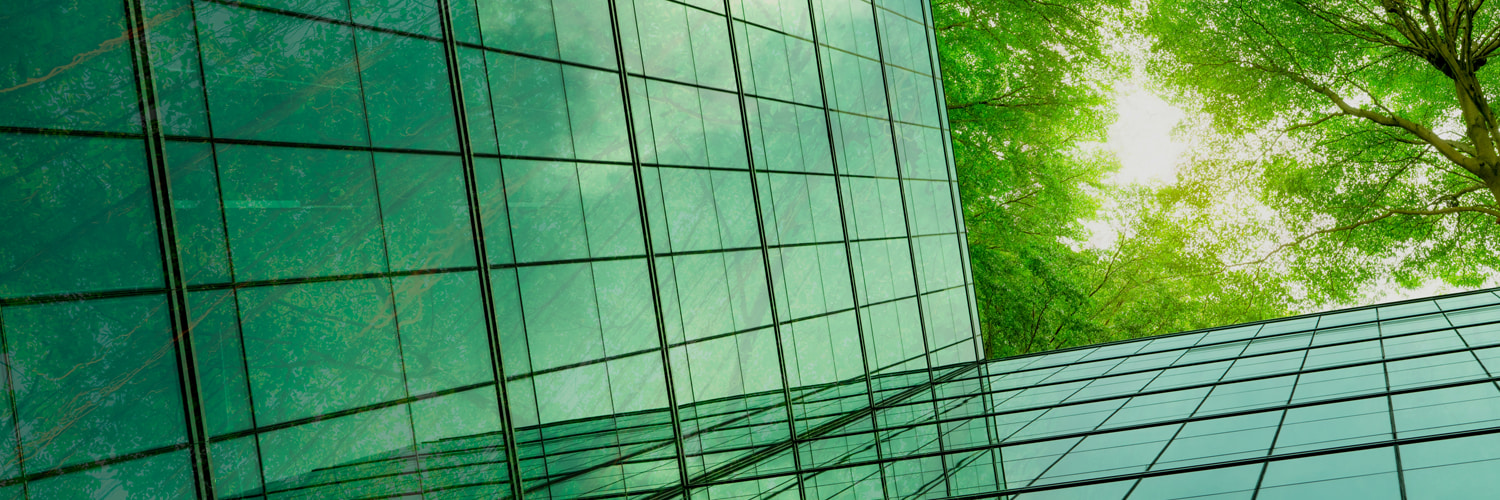 glass window panes green tree tops sunlight